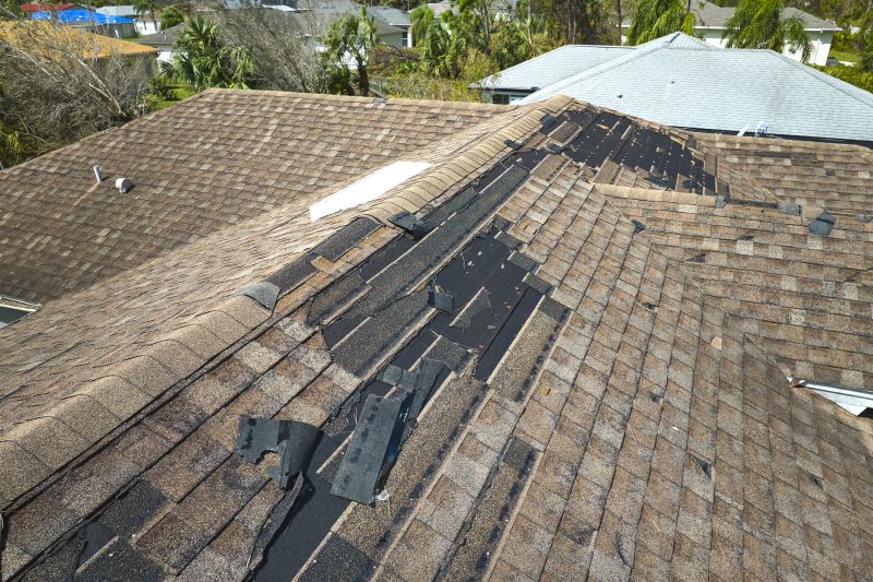 Commercial Roof Repair